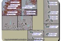 Bergelen-24-05-2023-Bundelcollybia-Microscopie-Christine-Debels