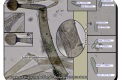 Bergelen-24-05-2023-Knopschimmel-Microscopie-Christine-Debels