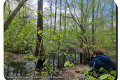 Geluveld-Kortekeerbosjes-10-04-2024-Sfeerfoto-2-Foto-Ann-Derathe