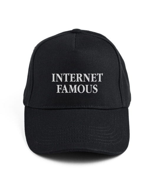 Internet famous | Baseball pet