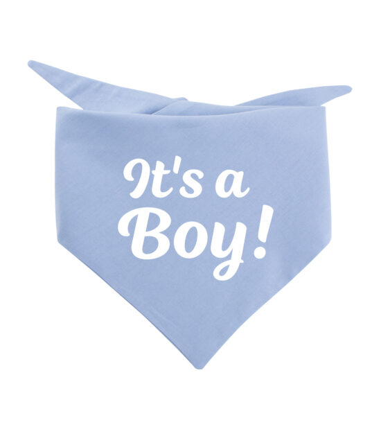 It’s a boy! | Hondenbandana