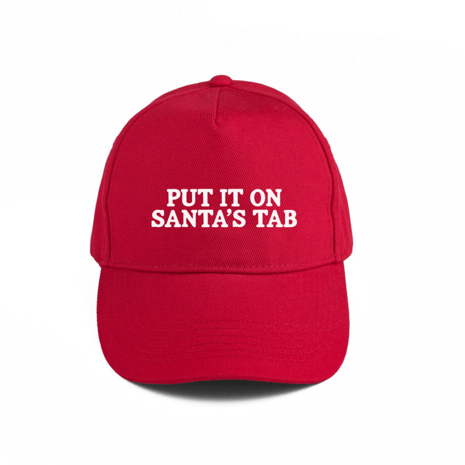 Put it on Santa's tab | Baseball pet