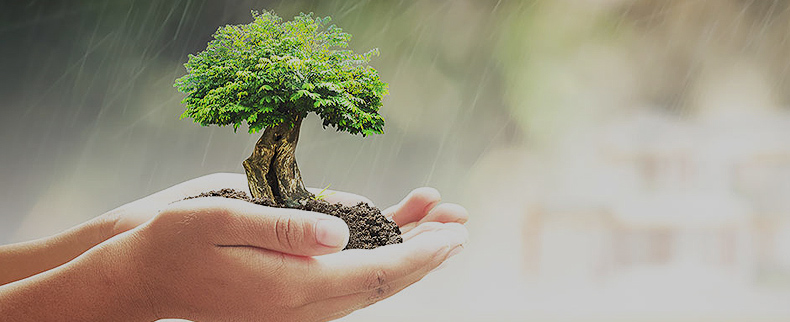 investment-management investment-management