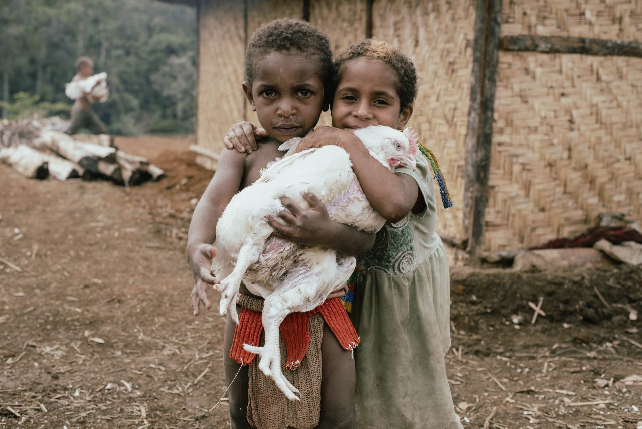 Fun Facts Papua New Guinea - Mygrations