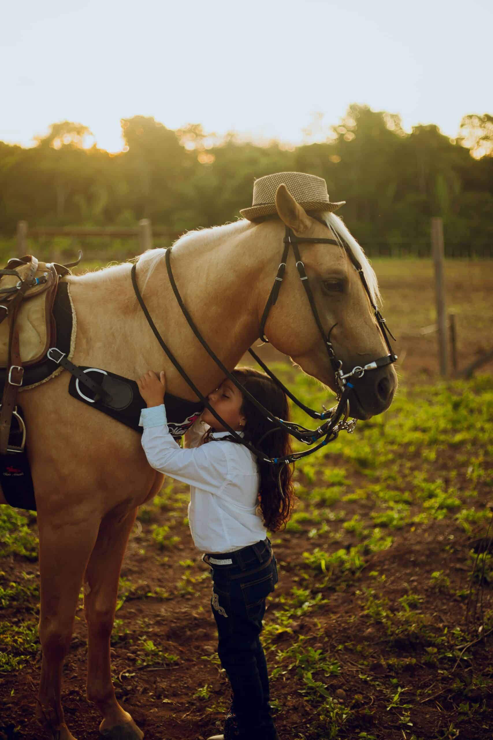 How does a horse show affection? 9 things to watch for! My life is