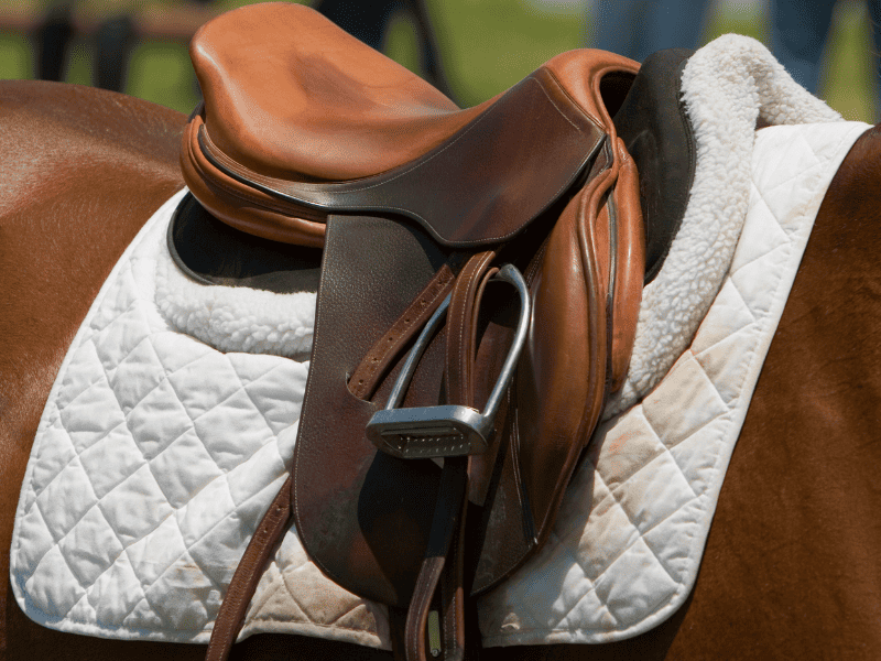 Have a squeaky leather saddle? Don't put baby powder on it! My life