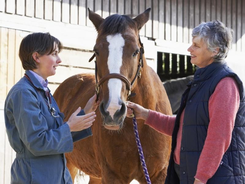 why-does-your-horse-suddenly-have-diarrhoea-my-life-is-better-with