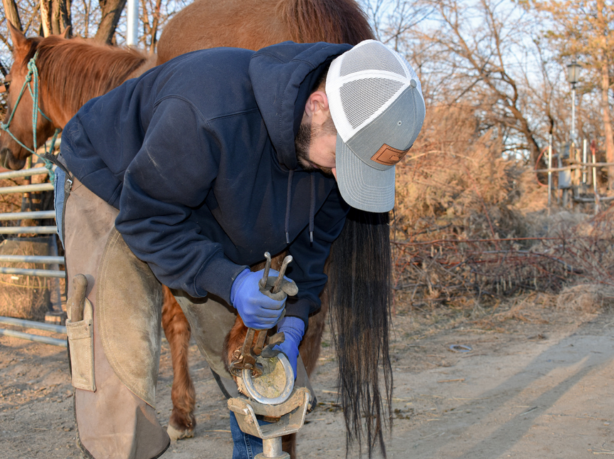 14 ways to make your farrier happy (and make sure they love you!) My