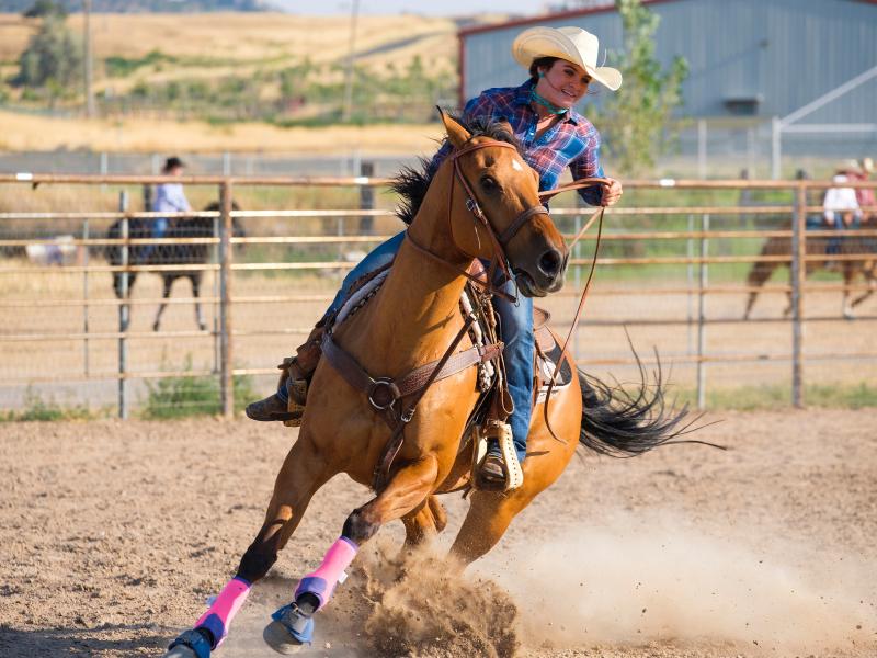 What is horse reining? - My life is better with horses