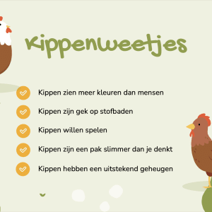 Kippenweetjes