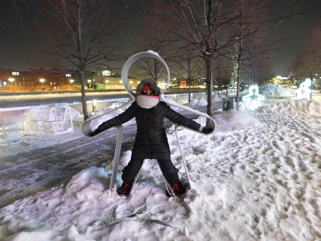 Gorky Central Park Moscow winter