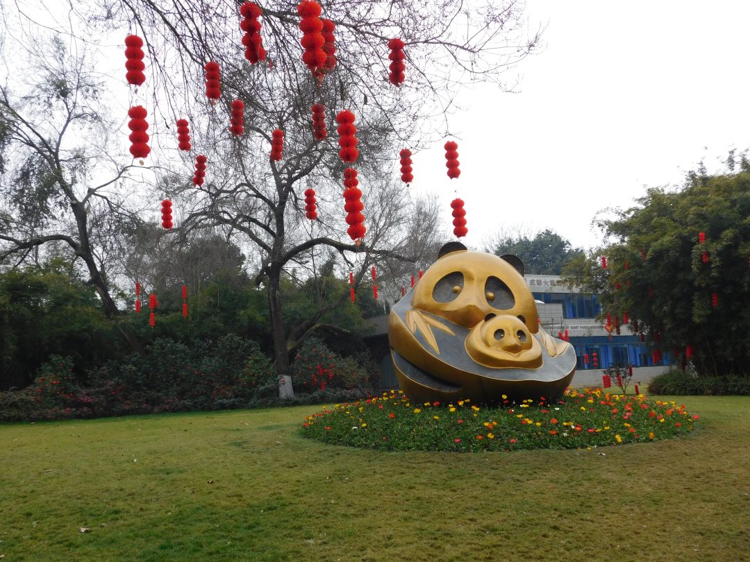 what to expect in PAnda Base Chengdu 