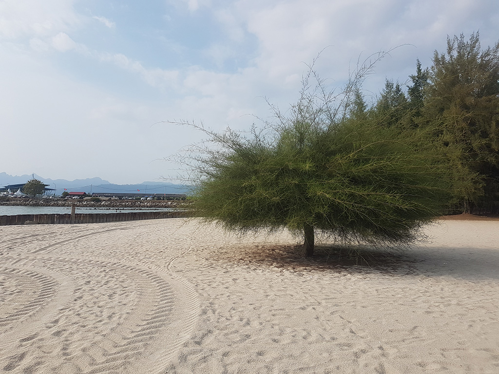 pantai langkawi