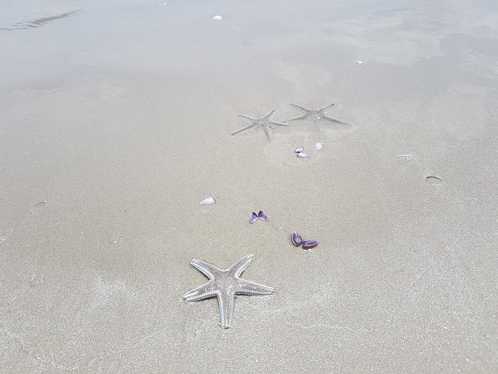 beaches Langkawi