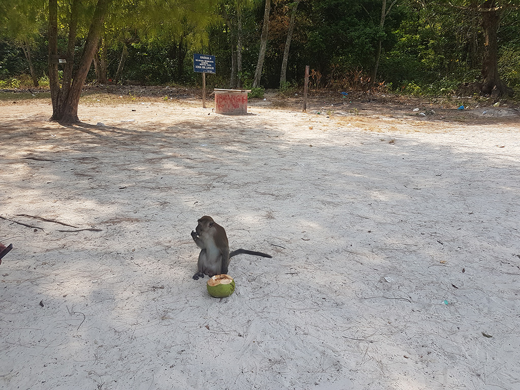 pulau langkawi