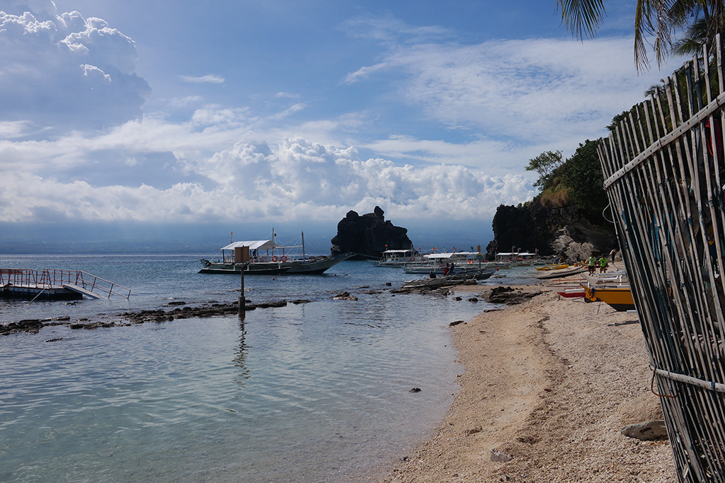 apo island beaches