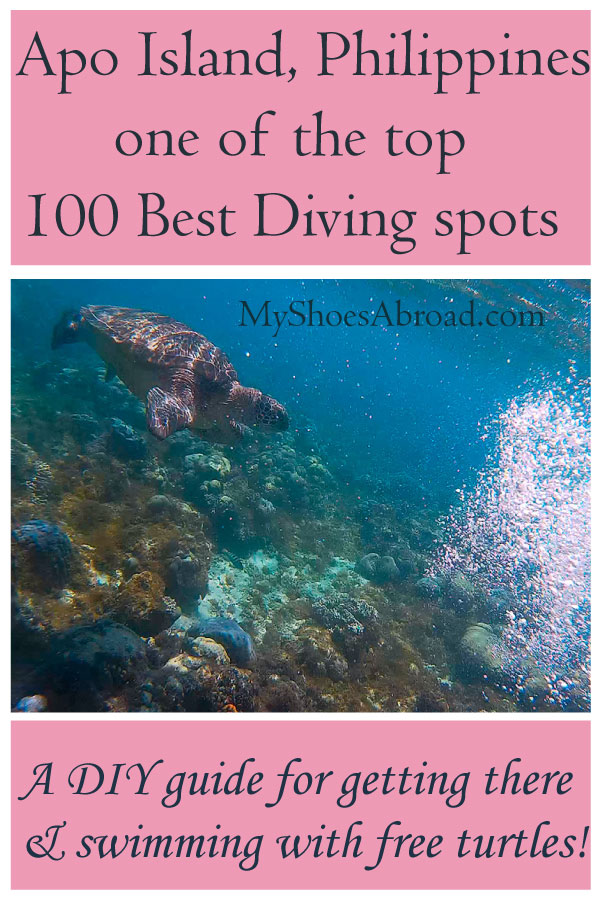 How to get to one of the top 100 Best diving spots in the world and swim with turtles!