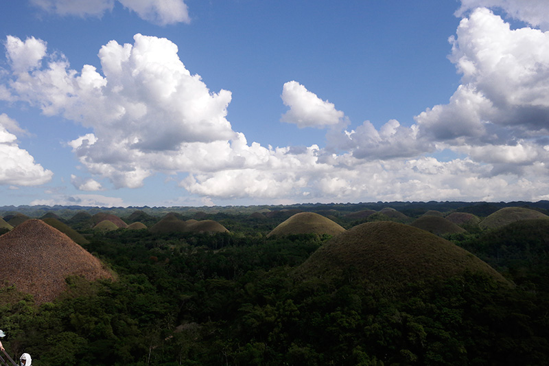 bohol chocolate