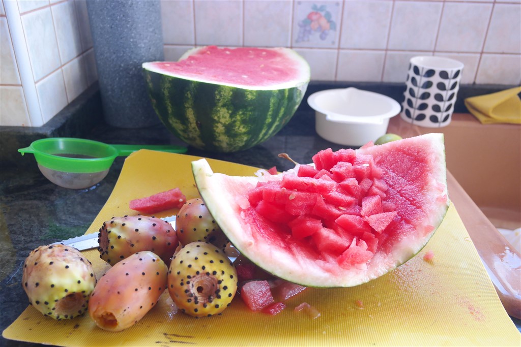 prickly pear and watermelon smoothie