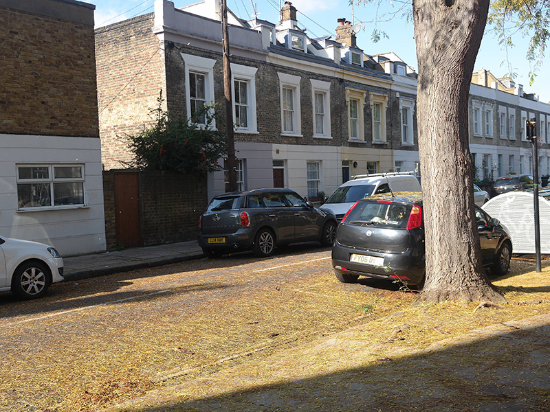 kentish town autumn in london