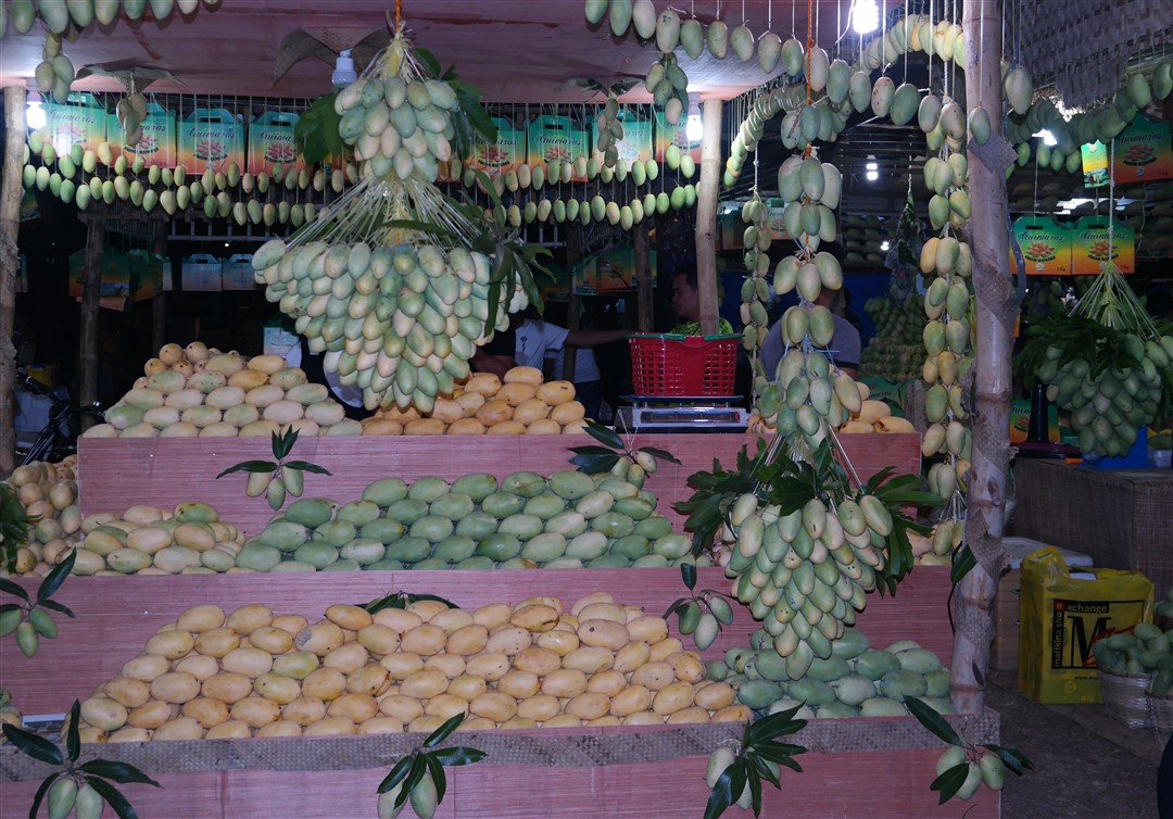 Mango Festival philippines