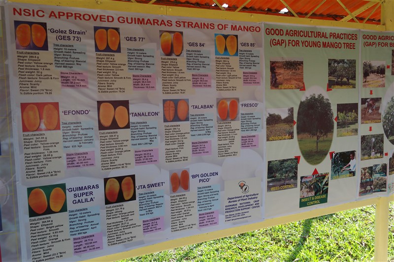 National Mango Research and Development Center guimaras