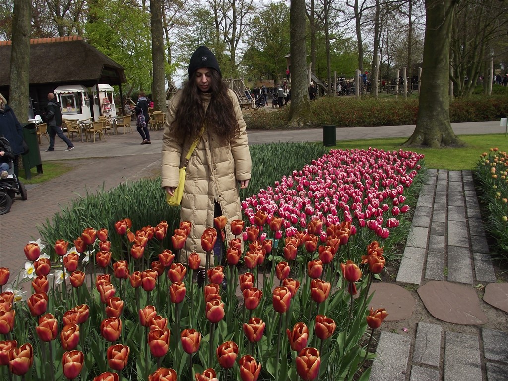 a day in tulips garden Holland