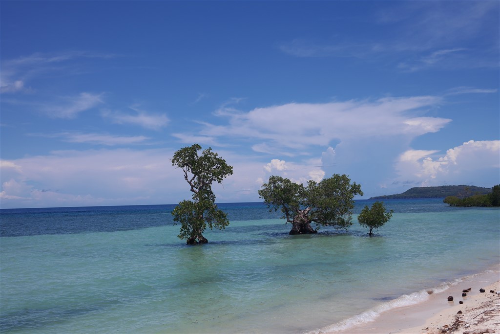 Siquijor BEaches