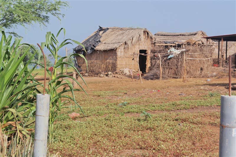 santiago straw houses