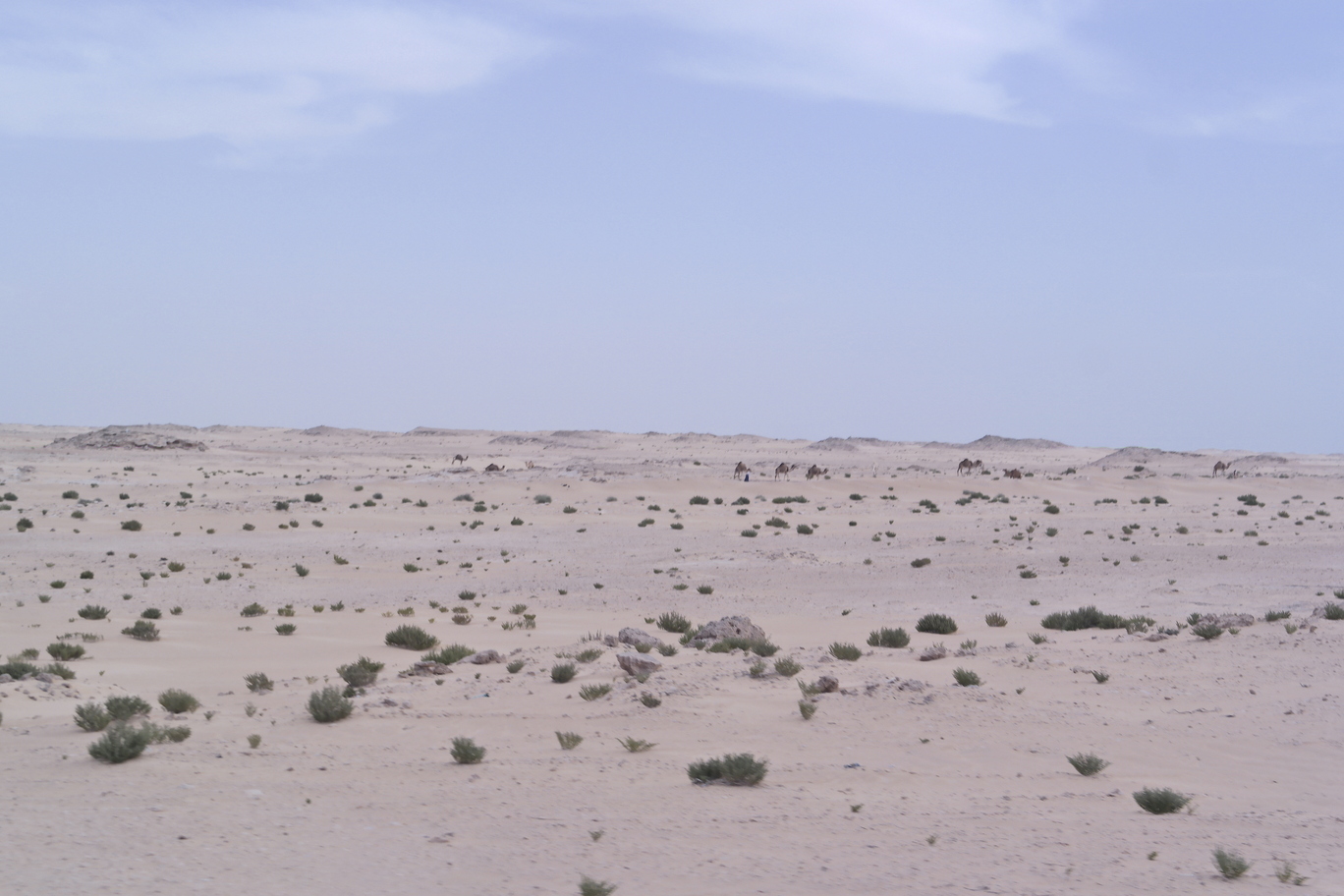 mauritania train trip