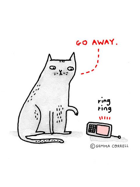 Introverted Cat