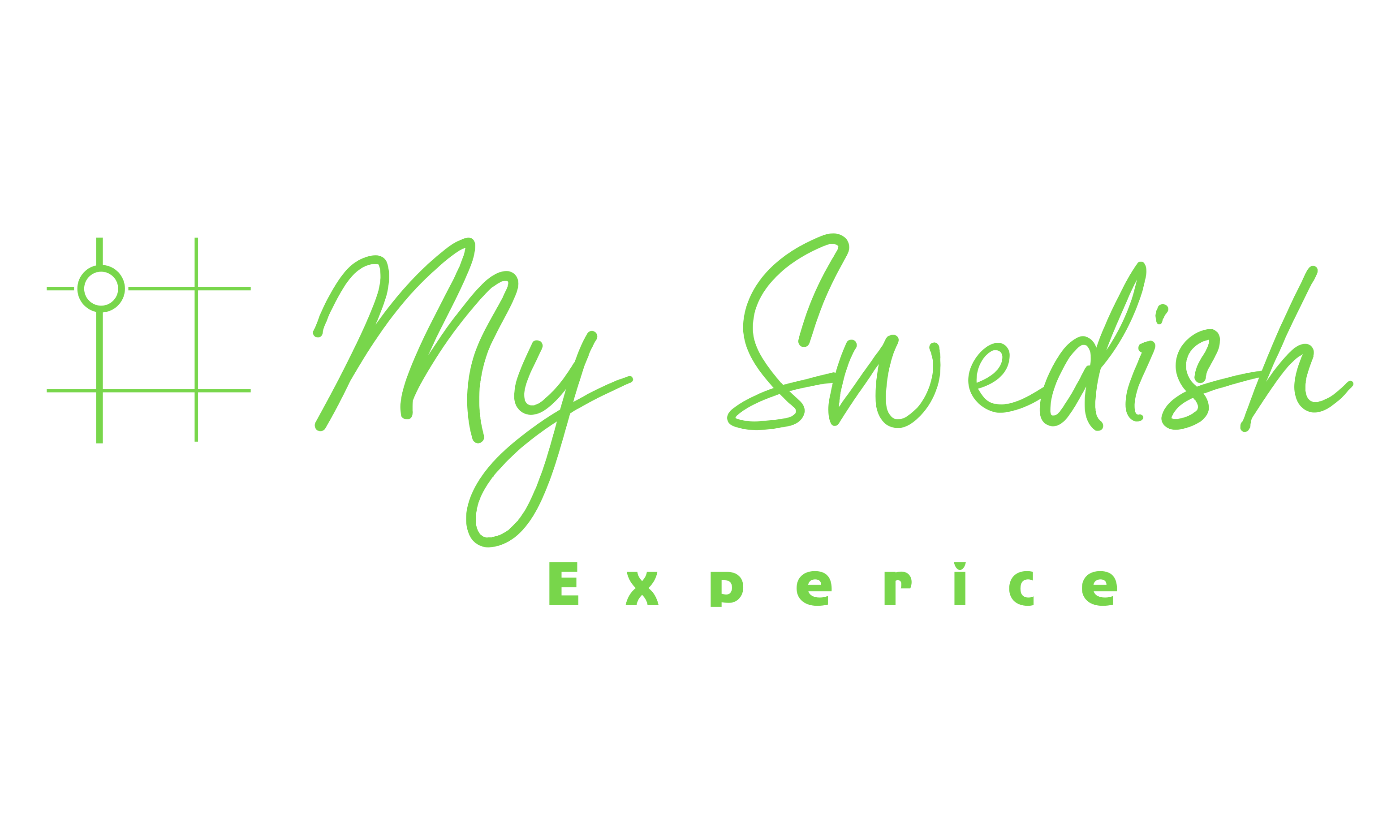 My Swedish Experience logo