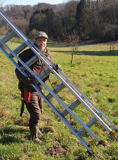 Obstbaumwart Jens Hennig mit Leiter auf dem Weg zum nächsten Baum