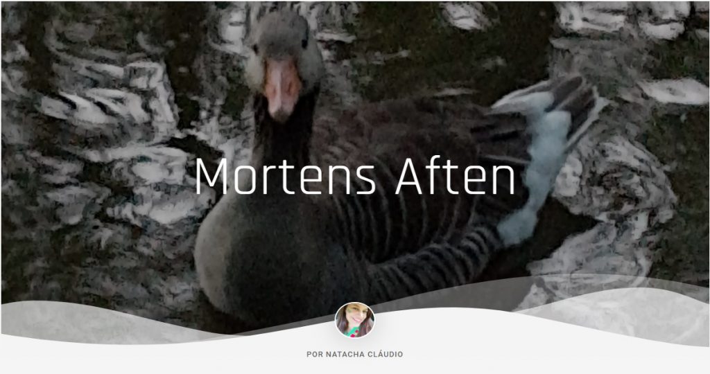 MORTENS AFTEN