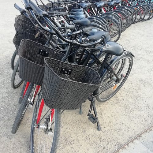 bicicletas Copenhaga