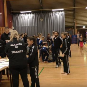 Regionalt mesterskab Øst, trin 1-2