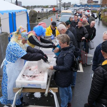 Sild på Havnekajen