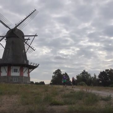 Fødseldagstur  på Bogø 2018