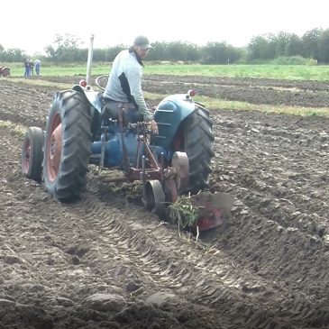 Veteran traktor Pløjning