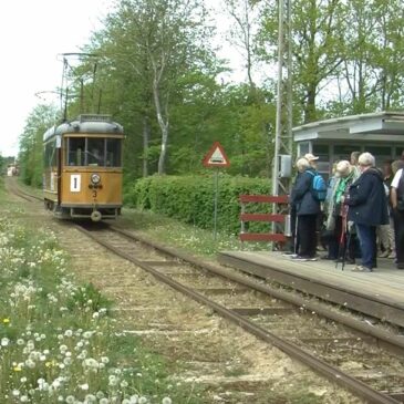 Lion club løvspringstur 2022