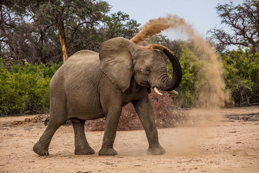 botswana