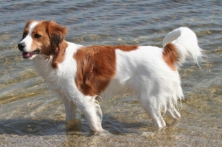 Leentje aan het strand in Almere Poort