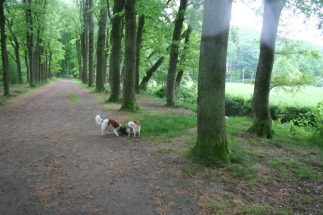 Wandeling met Floyd mei 2014