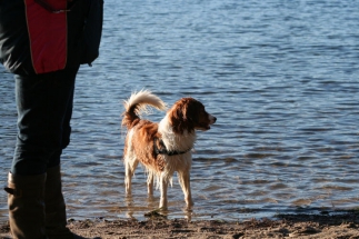 Nieuwjaarswandeling 2014