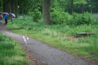 Wandeling met Floyd mei 2014