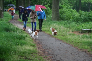 Wandeling met Floyd mei 2014