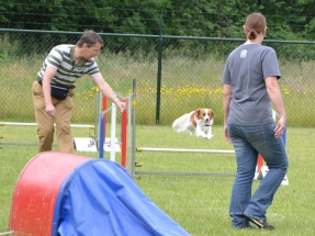 Doe- en jonge hondendag 2013