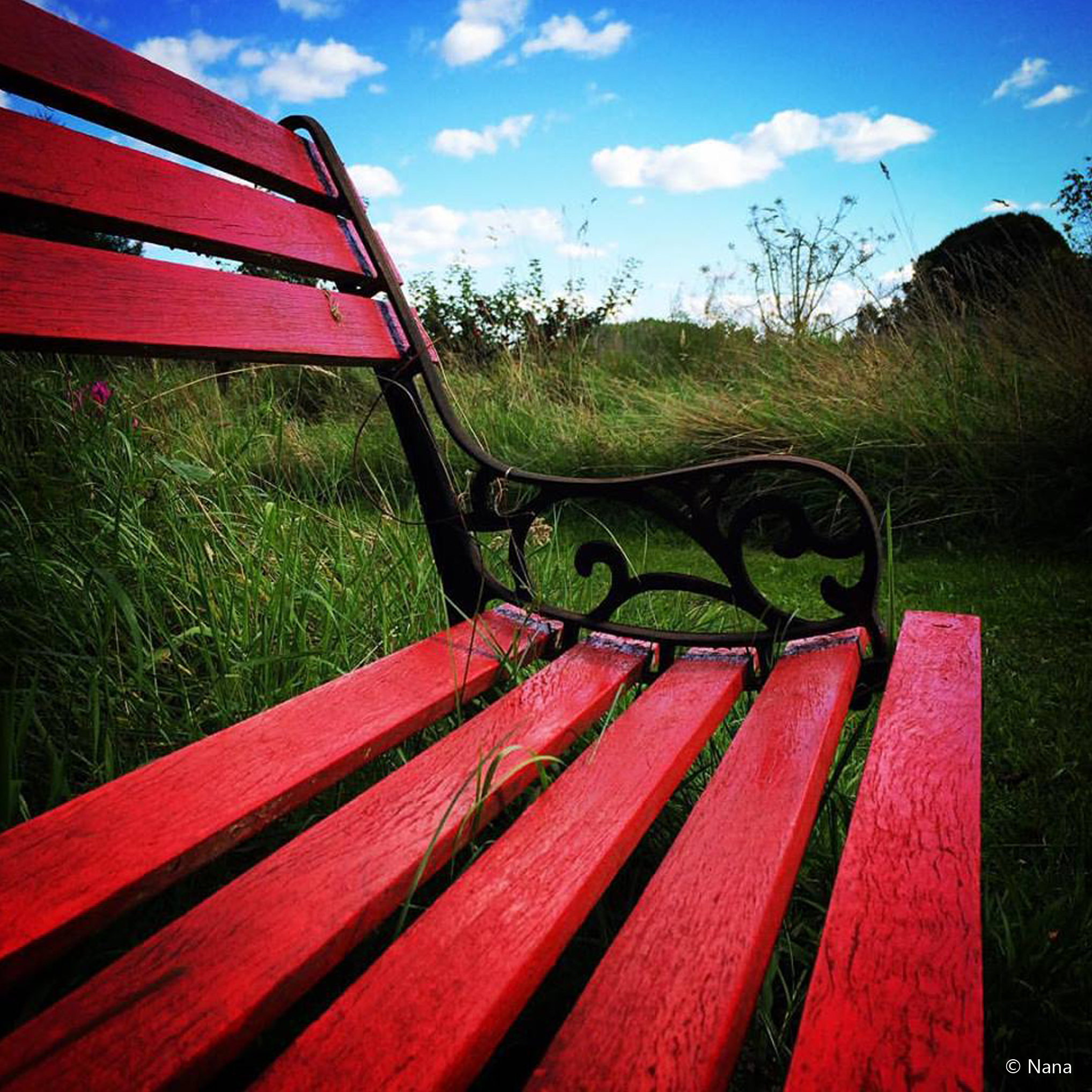 Rød Bænk
