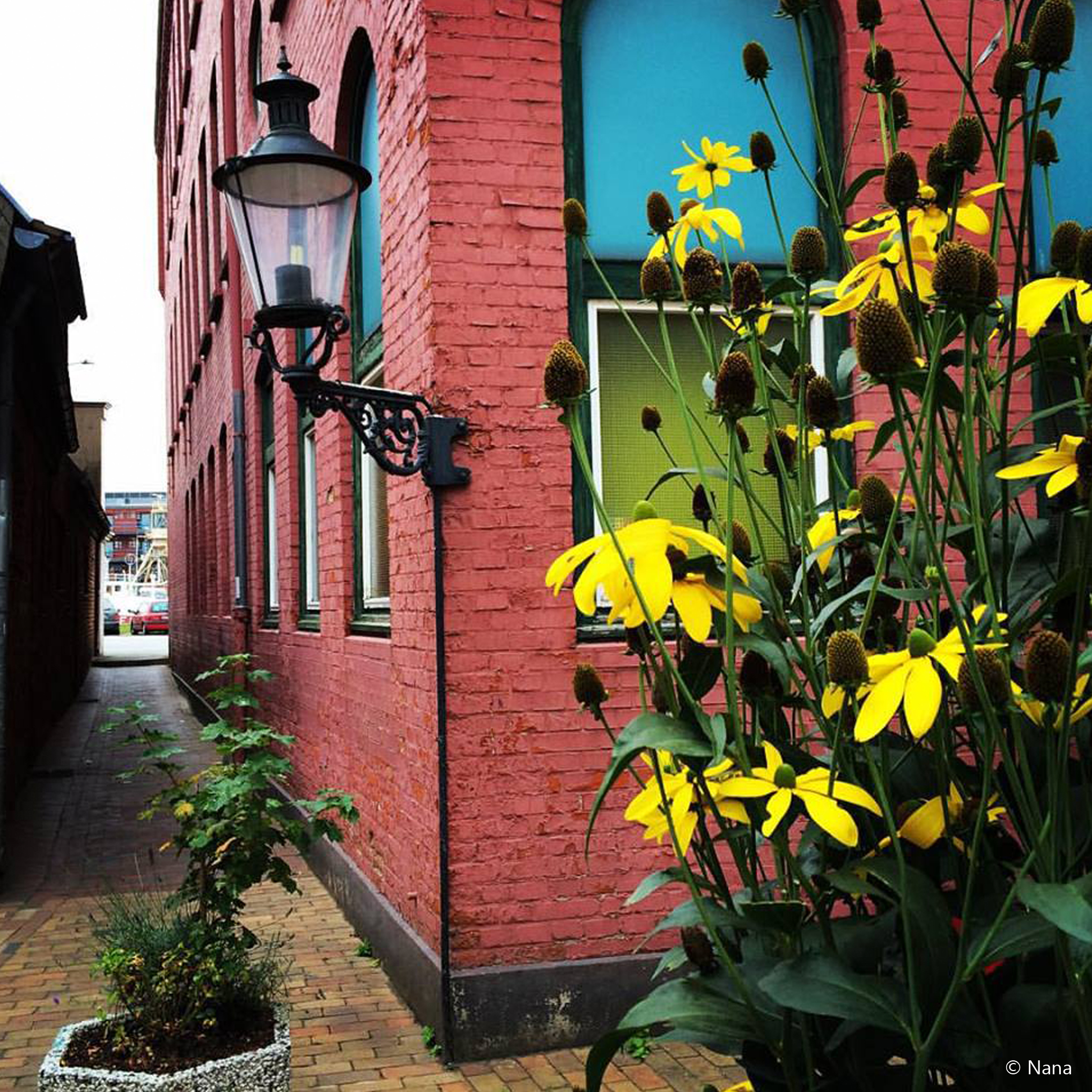 Colors In Lübeck