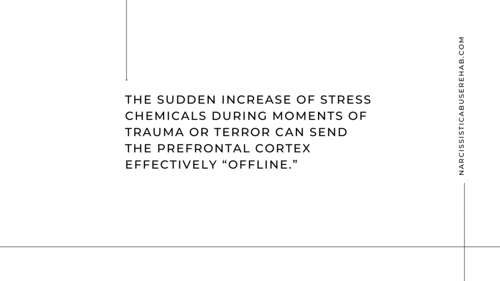 The neuro-chemical impact of traumatic stress.